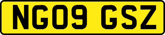 NG09GSZ