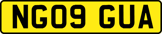 NG09GUA