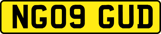 NG09GUD