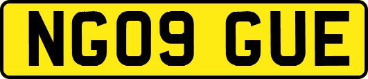 NG09GUE