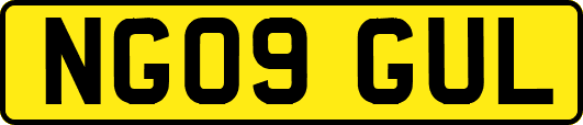 NG09GUL