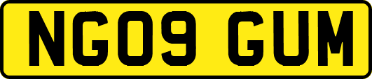 NG09GUM