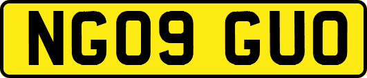 NG09GUO