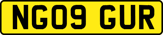 NG09GUR