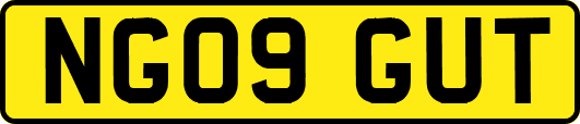 NG09GUT