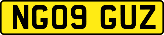 NG09GUZ