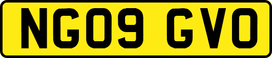 NG09GVO