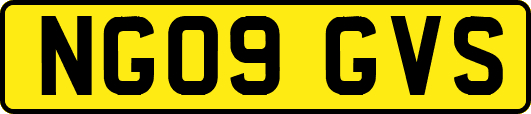 NG09GVS