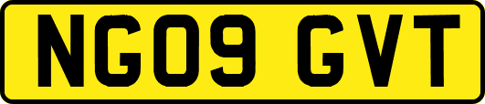 NG09GVT