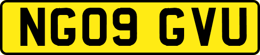 NG09GVU
