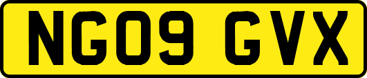 NG09GVX
