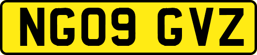 NG09GVZ