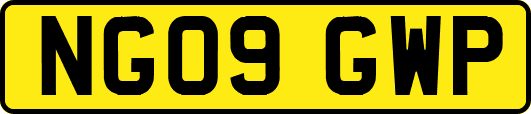 NG09GWP