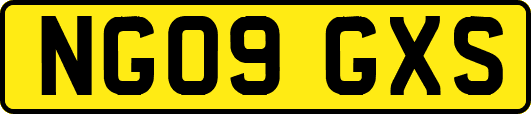 NG09GXS