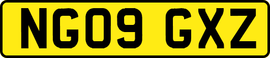 NG09GXZ