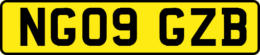NG09GZB