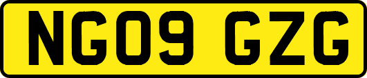 NG09GZG