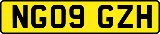 NG09GZH