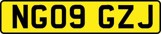 NG09GZJ