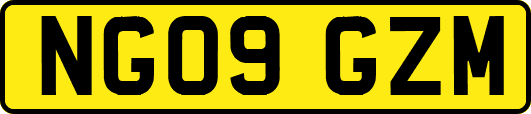 NG09GZM