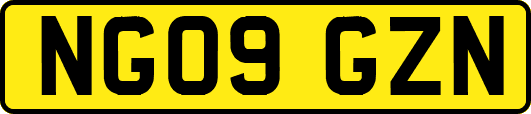 NG09GZN