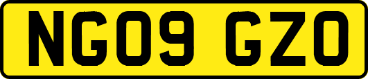 NG09GZO