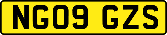 NG09GZS