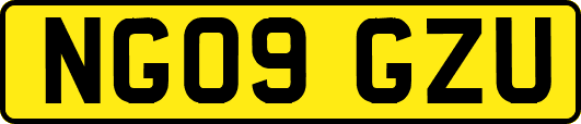 NG09GZU