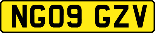 NG09GZV
