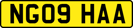 NG09HAA