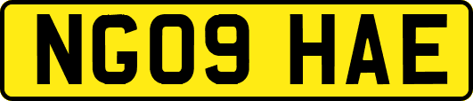 NG09HAE