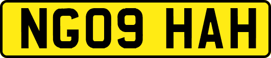 NG09HAH