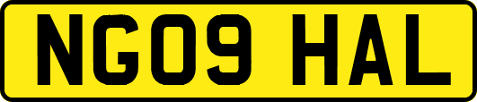 NG09HAL