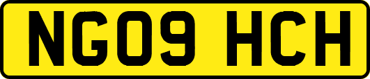 NG09HCH