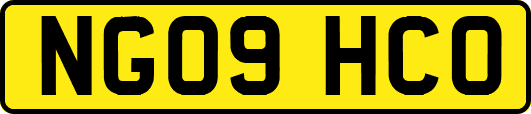 NG09HCO