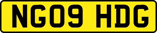 NG09HDG