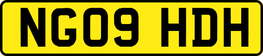 NG09HDH