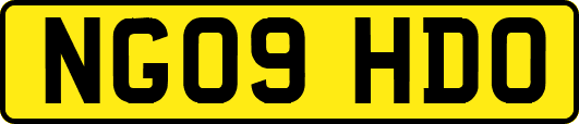 NG09HDO