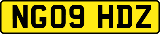 NG09HDZ