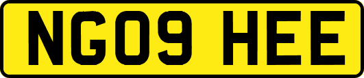 NG09HEE