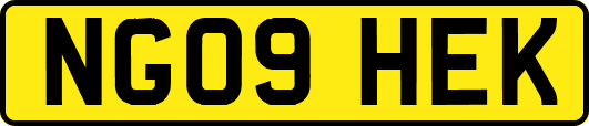 NG09HEK