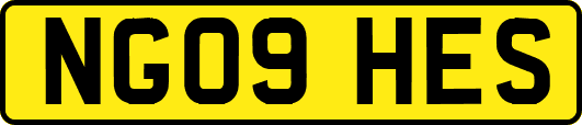 NG09HES