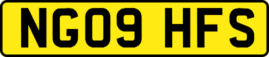 NG09HFS