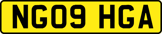 NG09HGA