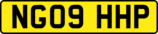 NG09HHP