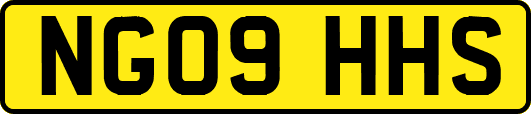 NG09HHS