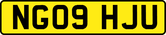 NG09HJU