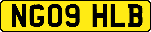 NG09HLB