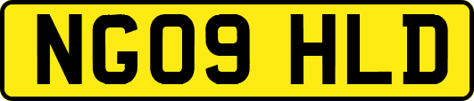 NG09HLD