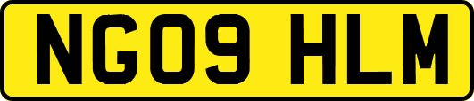 NG09HLM